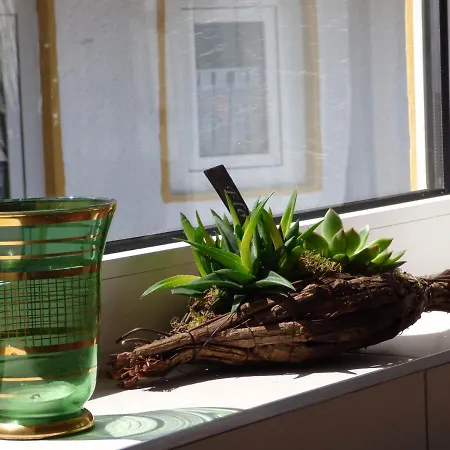 Ferienhaus Relaxen Im Alten Winzerhaus *